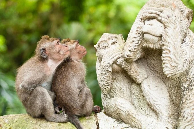 Ubud Monkey Forest (Sacred Monkey Forest Sanctuary)