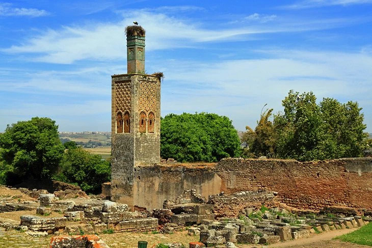 Explore the Chellah Necropolis